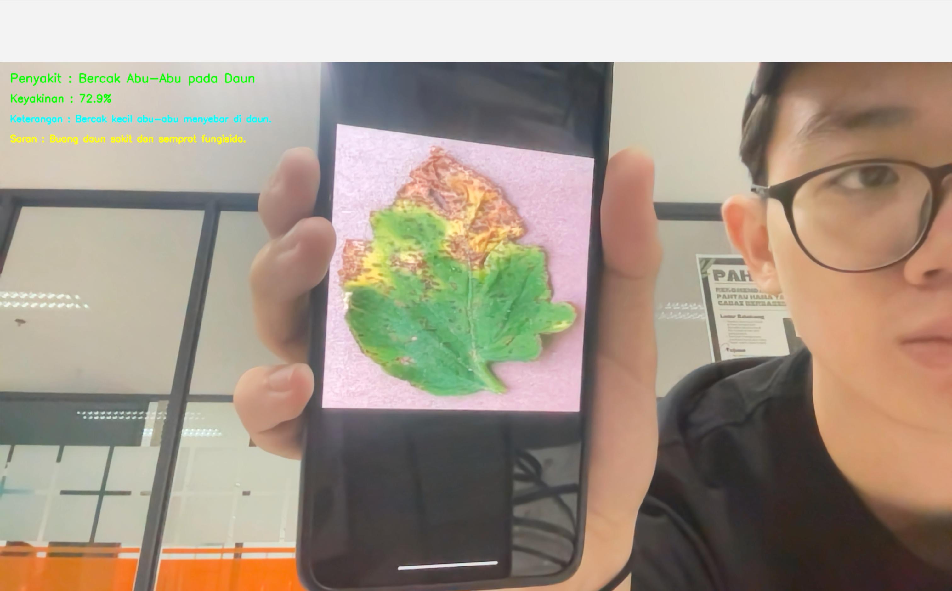 Tomato Leaf Detection CV Integration